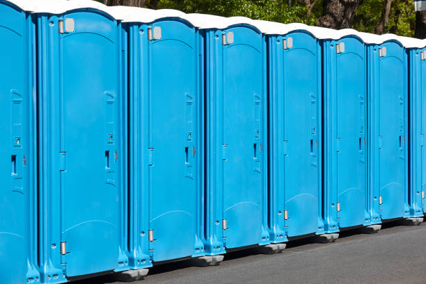 Best Portable Restroom Removal and Pickup  in Brentwood, CA